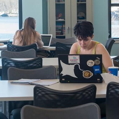 学生 studying in the Student Academic Success Center